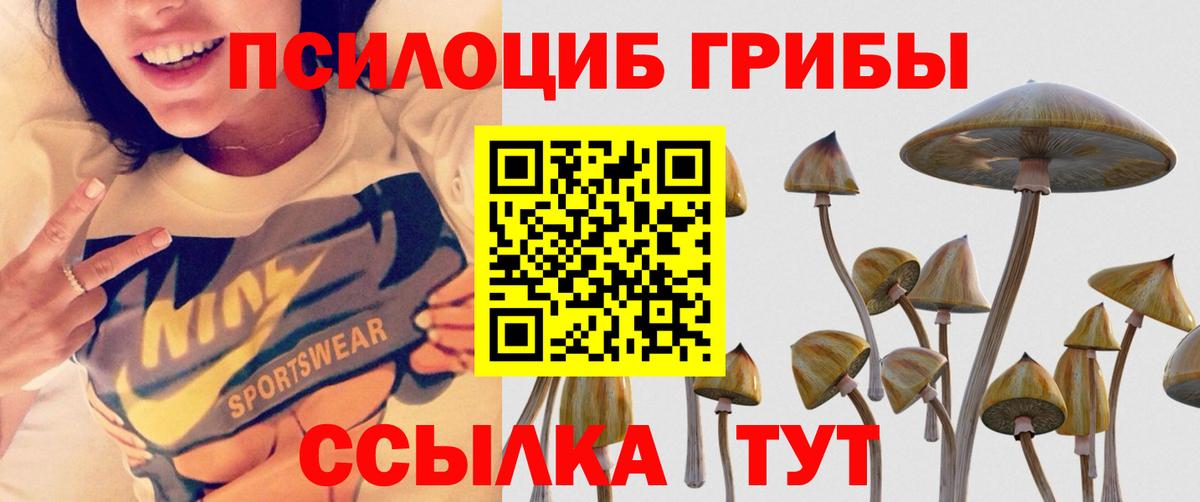 Псилоцибиновые грибы мухоморы Добрянка